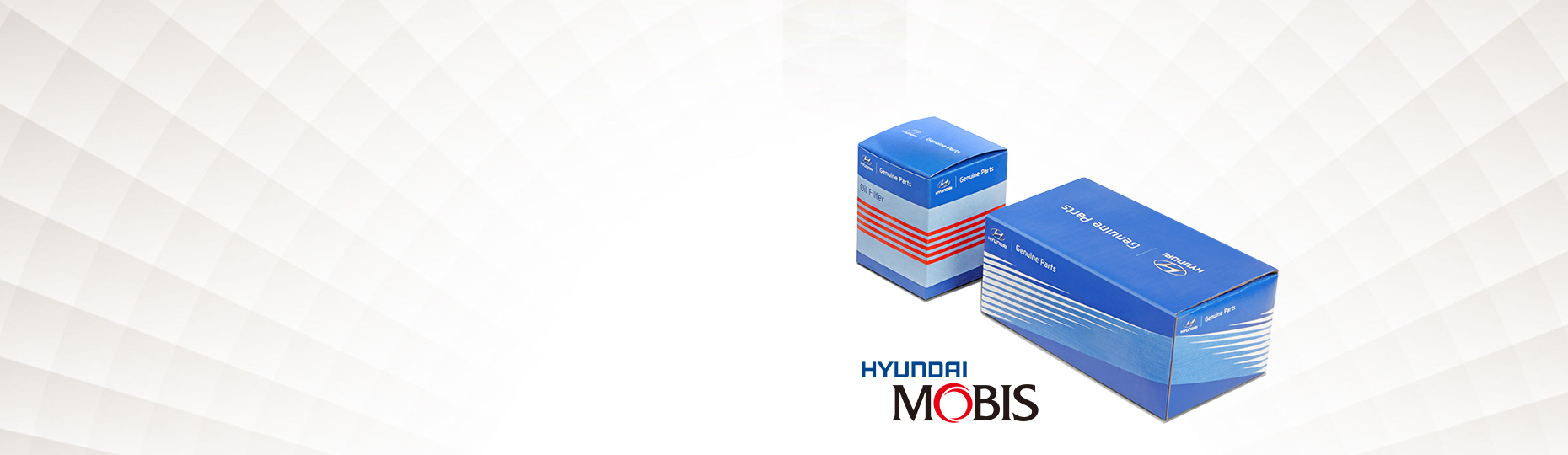 Buy Hyundai Genuine car Parts In Mumbai|Shreenath Hyundai